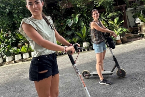 Bangkok: E-Scooter- & Fahrradtour zu den Highlights der Stadt