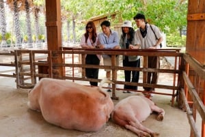 Bangkok: Damnoen Saduak und Zugmarkt mit Bootsfahrt