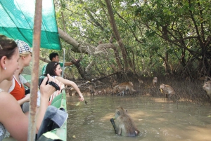 Bangkok: Damnoen Saduak, Maeklong and Mangrove Forest Tour