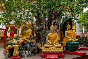 Bangkok: Ayutthaya Day Trip by Private Car with Boat Tour