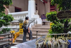 Bangkok: Ayutthaya Day Trip by Private Car with Boat Tour