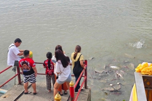Bangkok: Ayutthaya Day Trip by Private Car with Boat Tour
