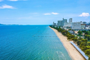 Bangkok: Excursión de un día a las playas de Pattaya y al Santuario de la Verdad