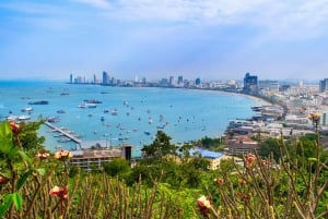 Bangkok: Excursión de un día a las playas de Pattaya y al Santuario de la Verdad