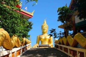 Bangkok: Excursión de un día a las playas de Pattaya y al Santuario de la Verdad