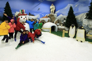 Bangkok: Dream World-entrébillet