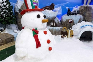 Bangkok: DreamWorld Amusement Park Entry Ticket