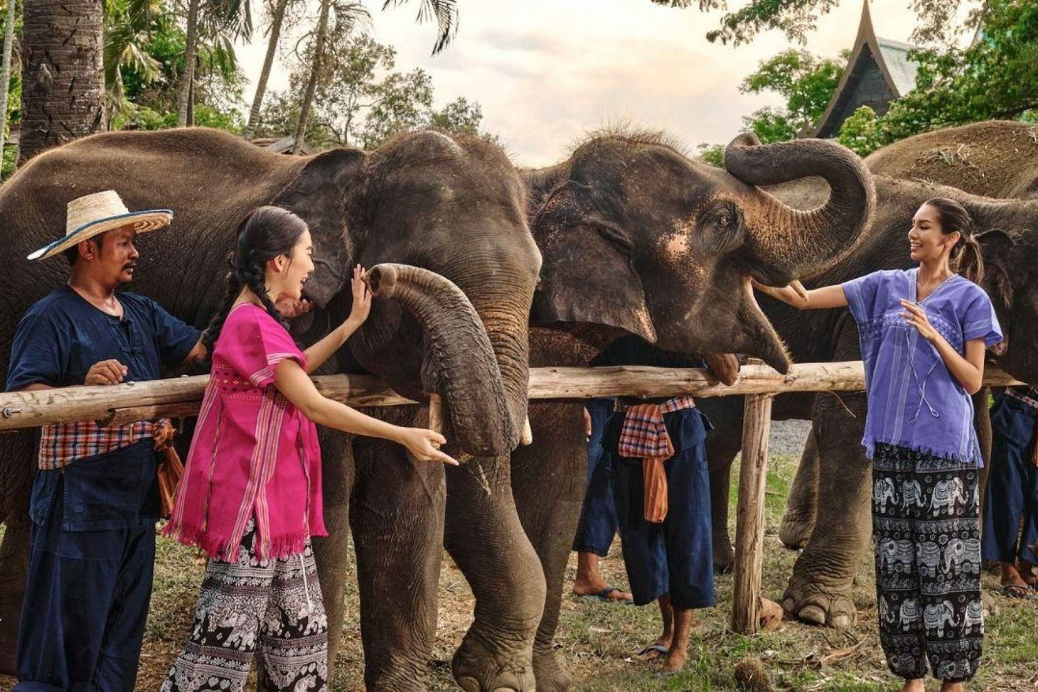 Bangkok Elephant Park: Half-Day Elephant Care