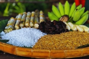 Najważniejsze atrakcje Bangkoku: etyczna opieka nad słoniami i lunch w formie bufetu