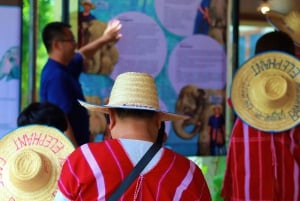 Najważniejsze atrakcje Bangkoku: etyczna opieka nad słoniami i lunch w formie bufetu