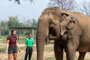 Elephant Sanctuary & Erawan Waterfall Tour