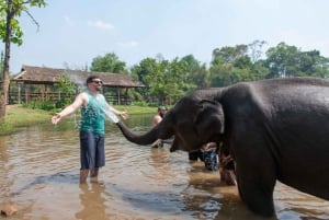 Santuário de elefantes e passeio à cachoeira de Erawan
