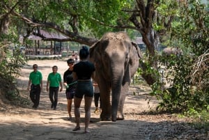 Elefanten-Schutzgebiet & Erawan-Wasserfall-Tour