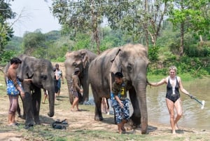 Elefantreservat og tur til Erawan-fossen