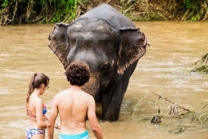 Elephant Sanctuary & Erawan Waterfall Tour