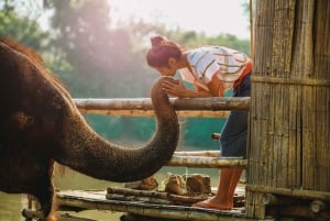 Bangkok: Elephant Sanctuary & Erawan Waterfall Tour