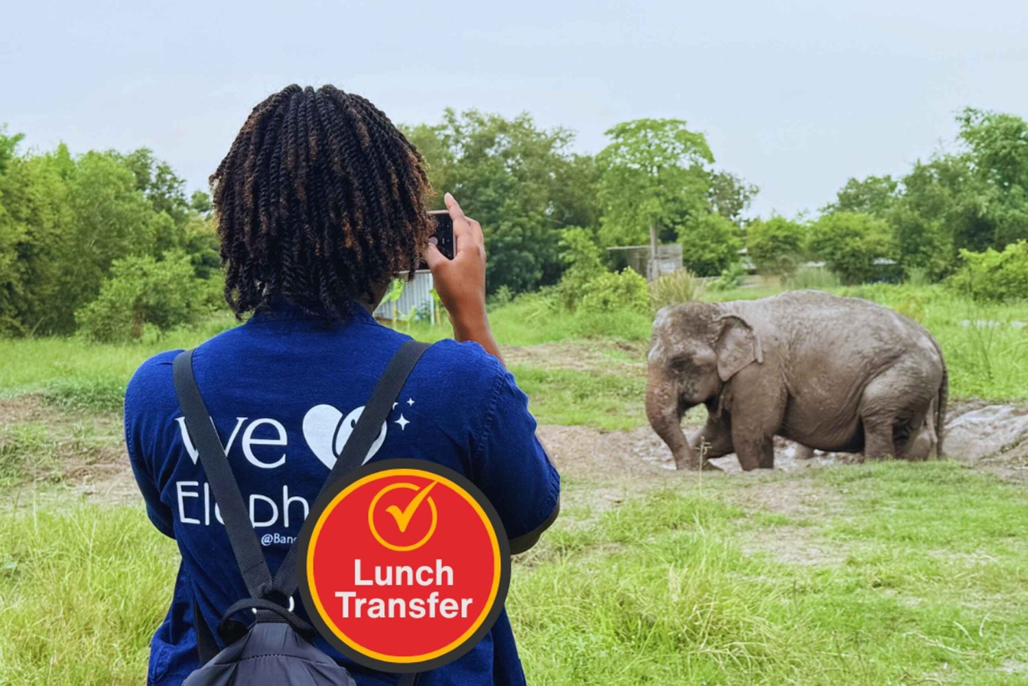 Bangkok: Führung im Elefanten-Schutzzentrum mit Hoteltransfer