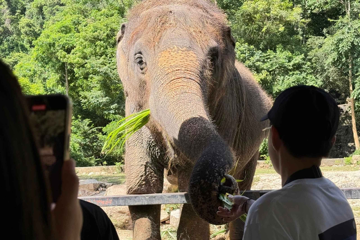 Bangkok: Elephant Sanctuary & Khao Kheow Open Zoo (Moodeng)