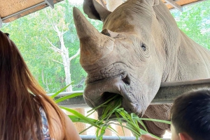 Bangkok: Elephant Sanctuary & Khao Kheow Open Zoo (Moodeng)