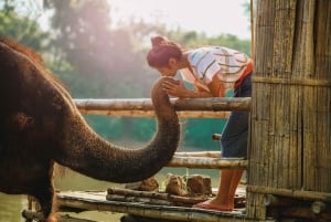 Bangkokissa: Kwai-joen varrella: Elefanttien suojelualueella vierailu & SUP