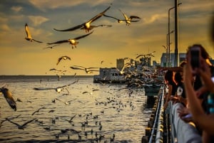 Musée d'Erawan, ville antique et excursion privée à Bang Pu