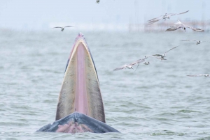 Bangkok Safari & Marine Park