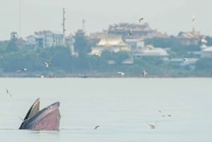 Bangkok Safari & Marine Park