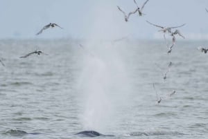 Bangkok Safari & Marine Park