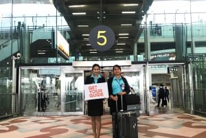 Bangkok: Servicio rápido de inmigración y traslado al hotel
