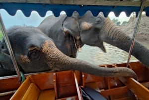 Bangkok: Private Trip to Ayutthaya Temples & Night Market