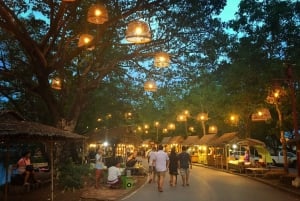 Bangkok: Private Trip to Ayutthaya Temples & Night Market