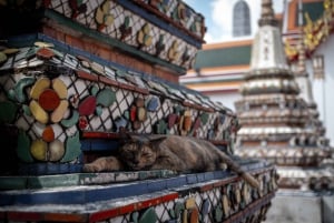 Walking tour Grand Palace, Emerald Buddha and Wat Pho