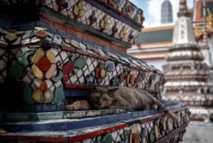 Bangkok: Grand Palace, Wat Pho, Wat Arun & Kanaltour