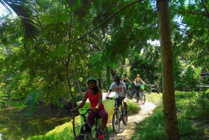 Bangkok: Green Oasis Guided Bike Tour with Boat Ride