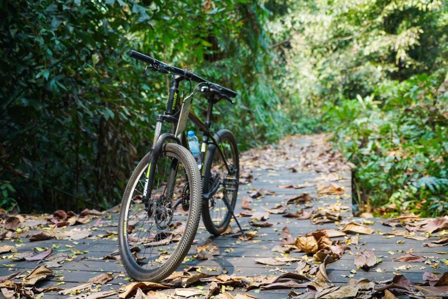 Bangkok Green Oasis Nature Bike Tour