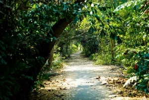 Bangkok Green Oasis Nature Bike Tour