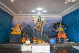 Bangkok Green Oasis Nature Bike Tour