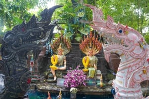 Bangkok Green Oasis Nature Bike Tour