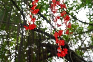 Bangkok Green Oasis Nature Bike Tour