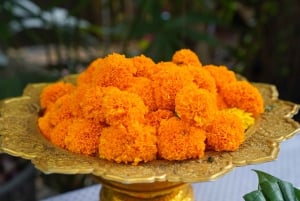 Bangkok Green Oasis Nature Bike Tour