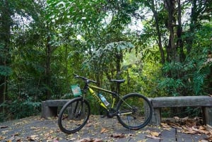 Bangkok Green Oasis Nature Bike Tour