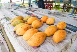 Bangkok Green Oasis Nature Bike Tour