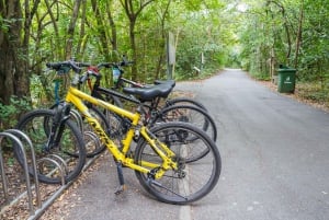 Bangkok Green Oasis Nature Bike Tour
