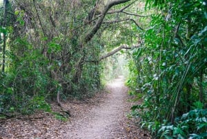 Bangkok Green Oasis Nature Bike Tour
