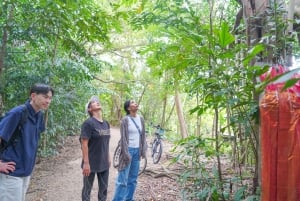Bangkok Green Oasis Nature Bike Tour