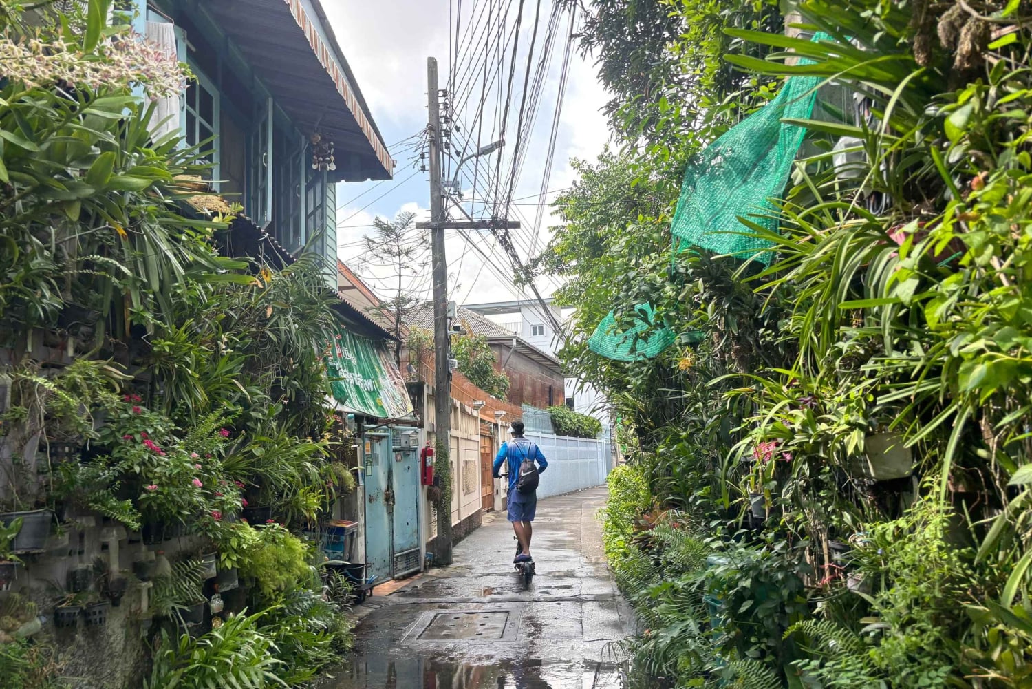 Bangkok: tour guiado de scooter elétrica aos templos e à margem do rio
