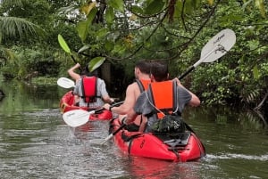 バンコク隠れカヤック&電動ロングテールボート・ツアー
