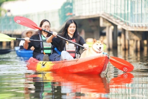 Bangkok: Skjult kajak og elektrisk longtail bådtur