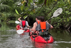 Bangkok: Skjult kajak og elektrisk longtail bådtur
