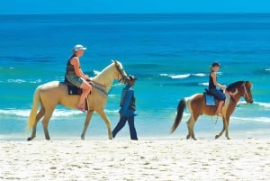 Bangkok: Horse Riding on Hua Hin Beach with Private Transfer